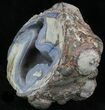 Crystal Filled Dugway Geode (Polished Half) #33168-1